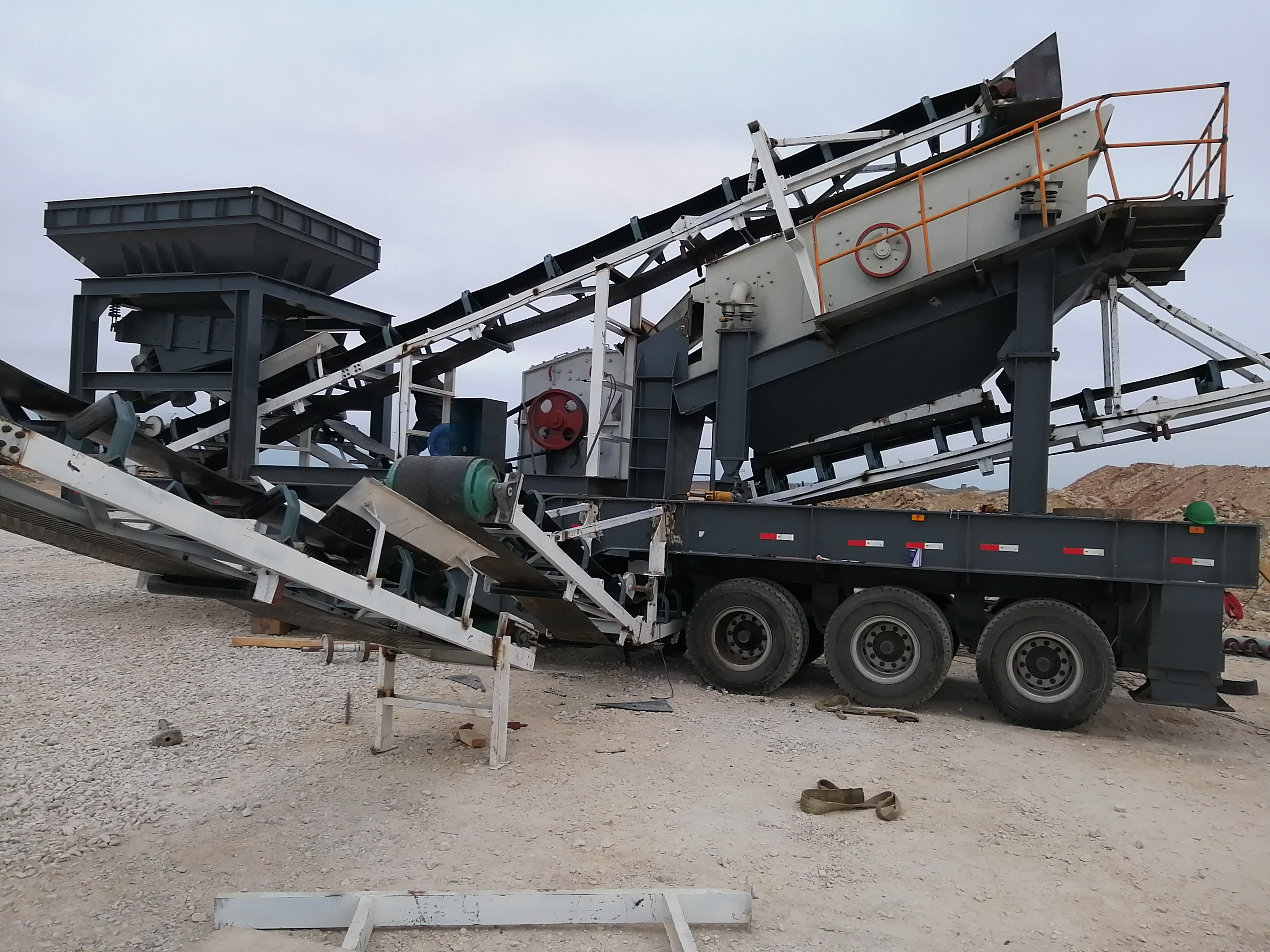 Vista lateral de la planta